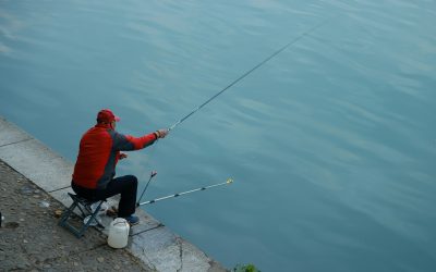 lanlan-wu-Y6Ea6b4RTNw-unsplash